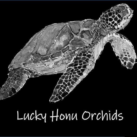 Meet your Posher; "Not for Sale"...but also called Jason, by some. - Picture 2 of 10